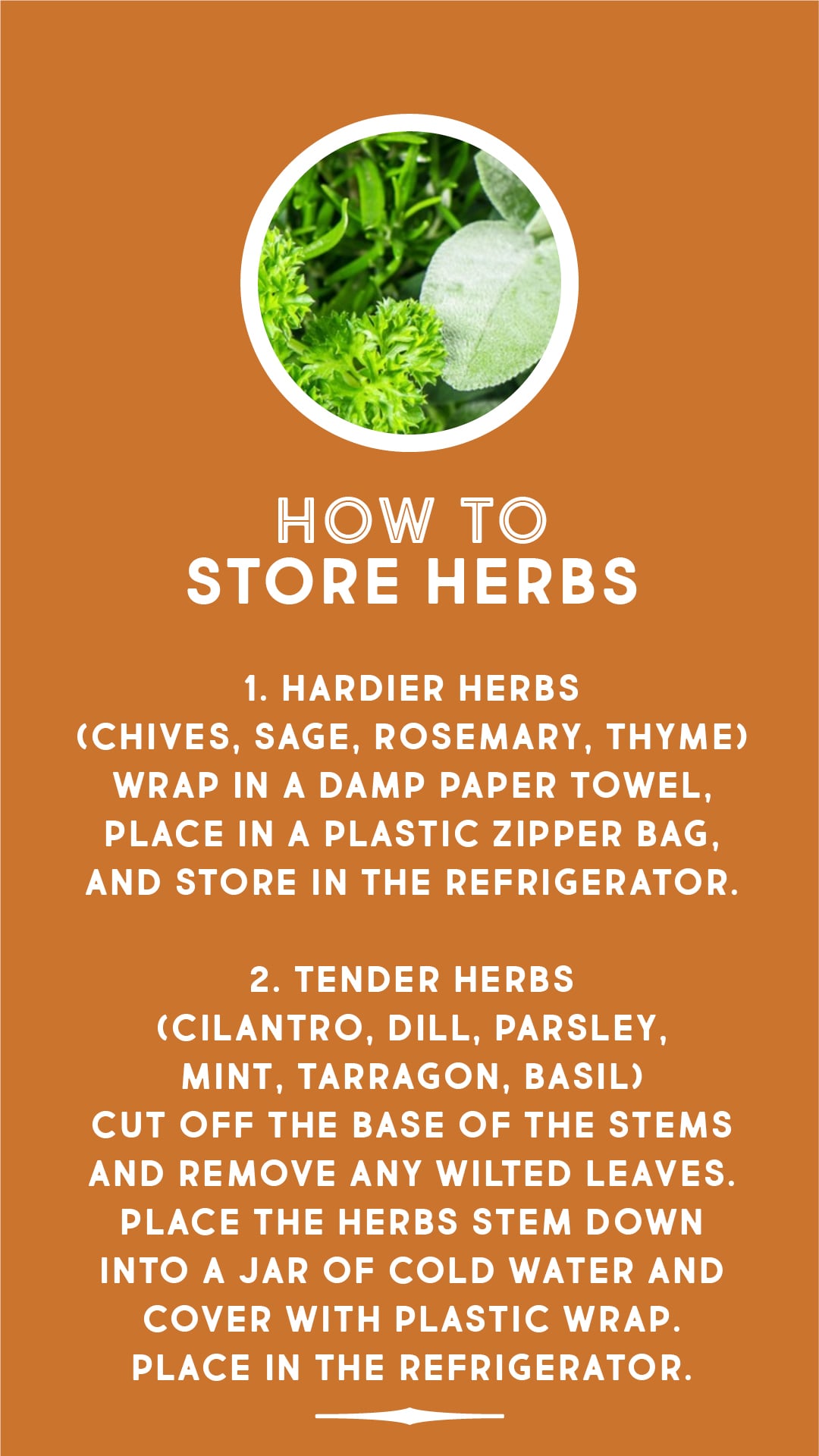 How to store herbs How to store herbs