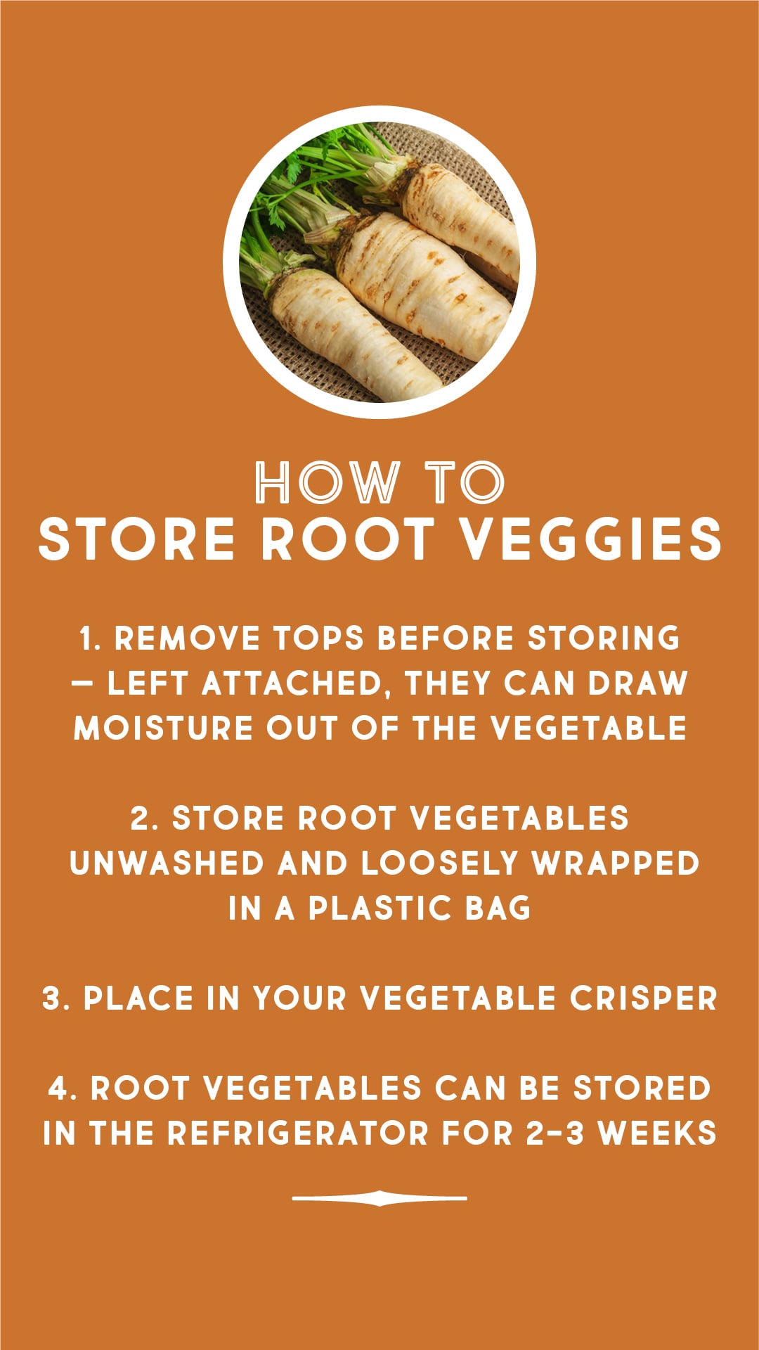 How to store root veggies How to store root veggies