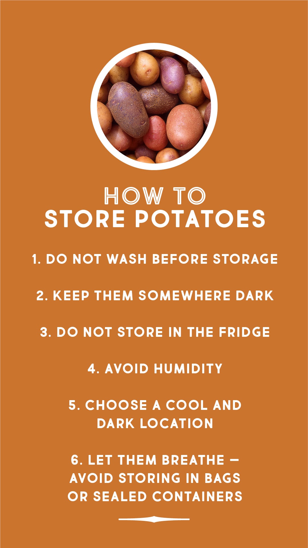 How to store potatoes How to store potatoes