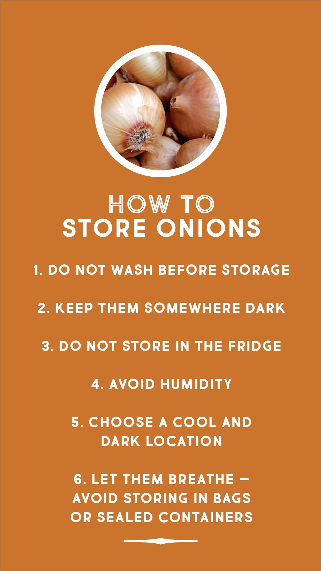 How to store onions How to store onions