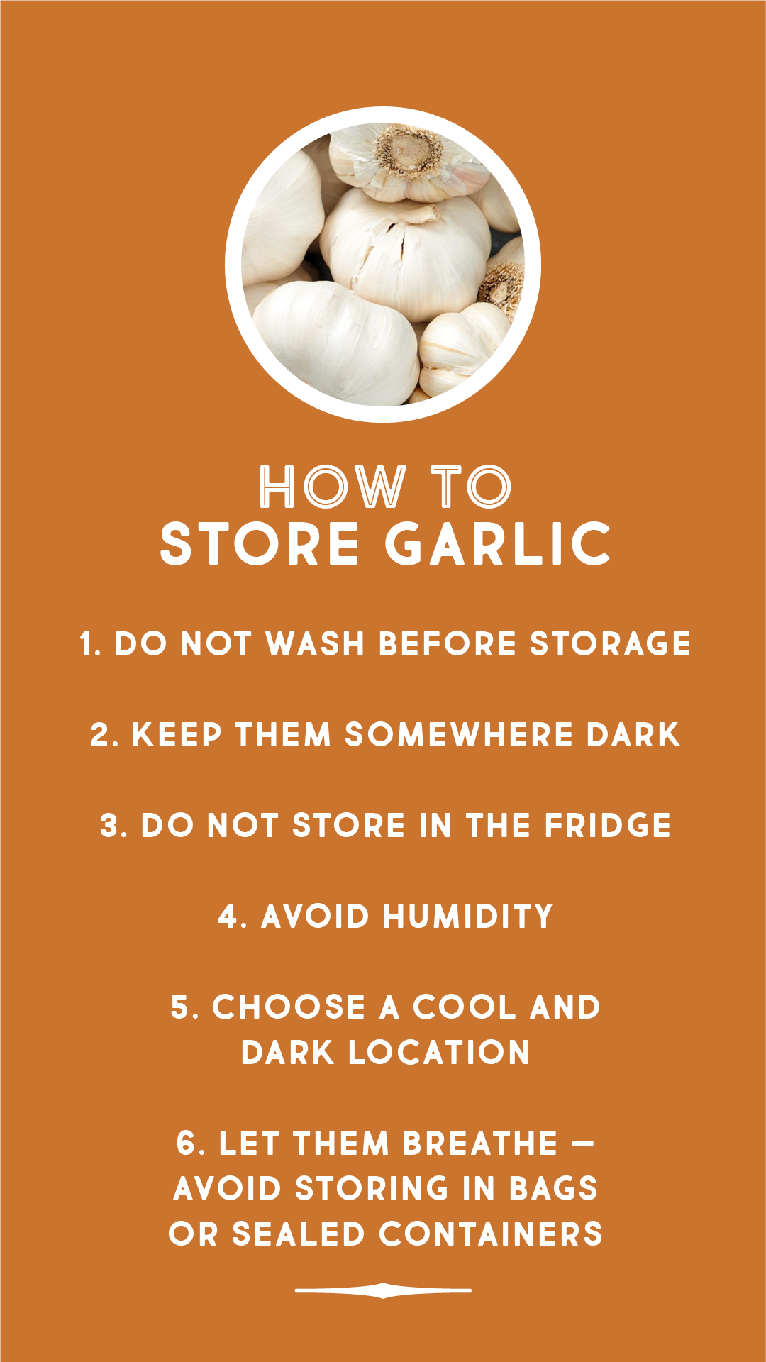 How to store garlic How to store garlic