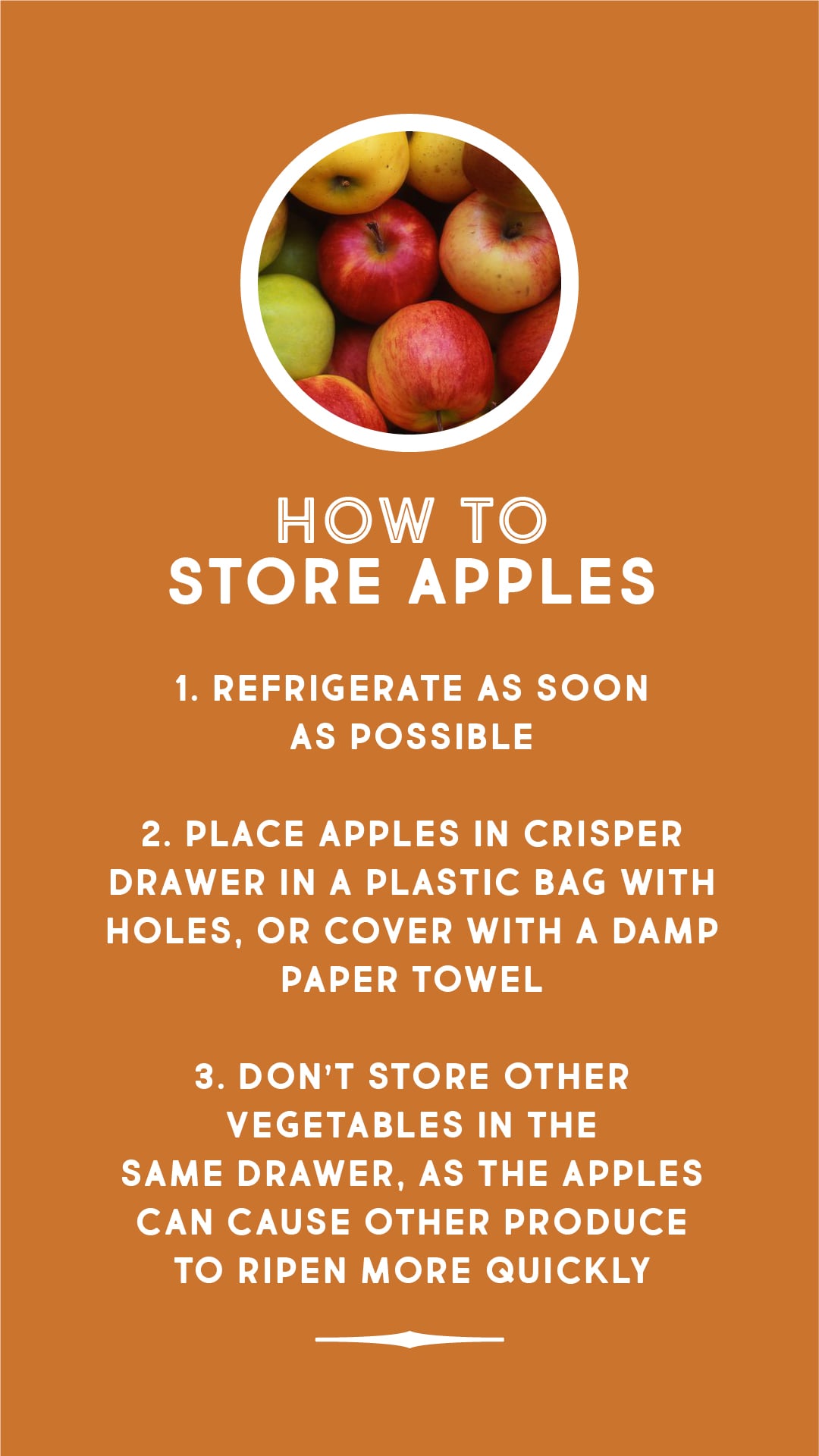 How to store apples How to store apples
