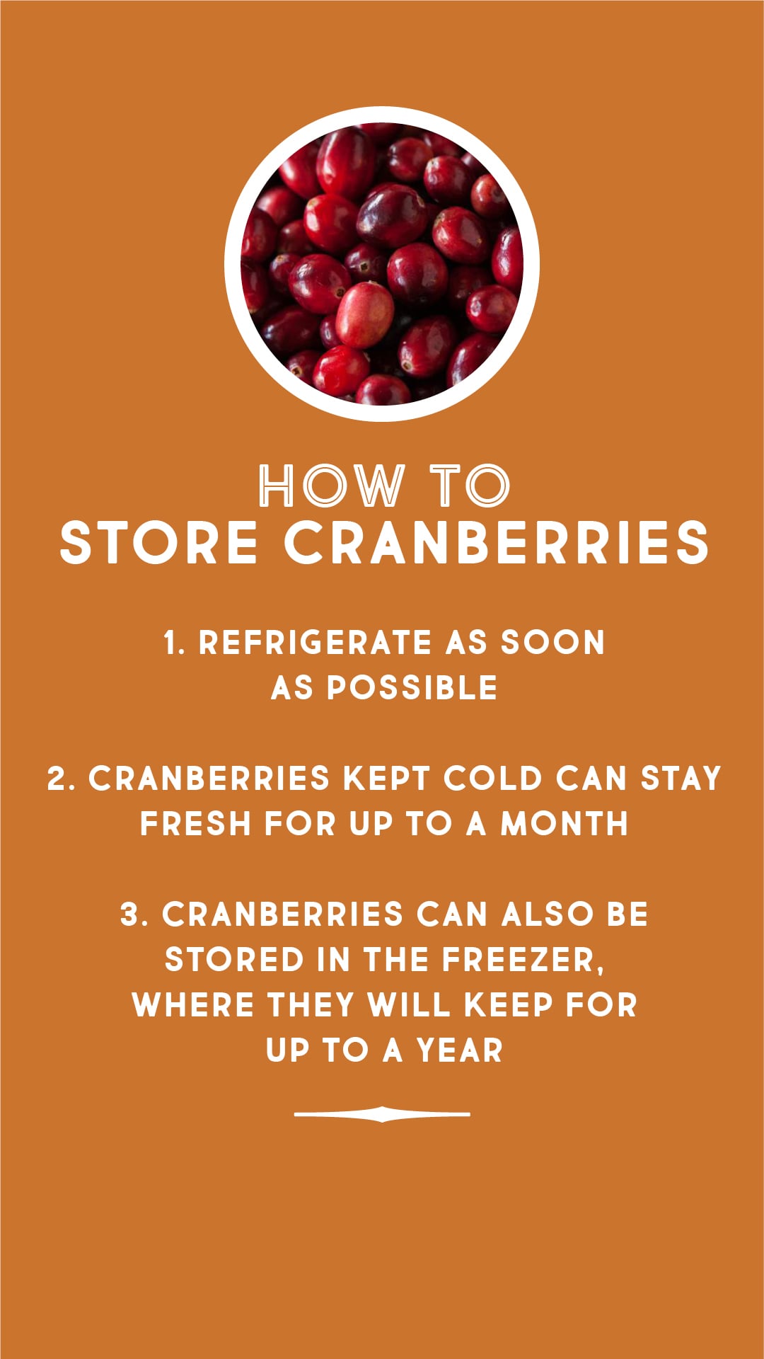 How to store cranberries How to store cranberries