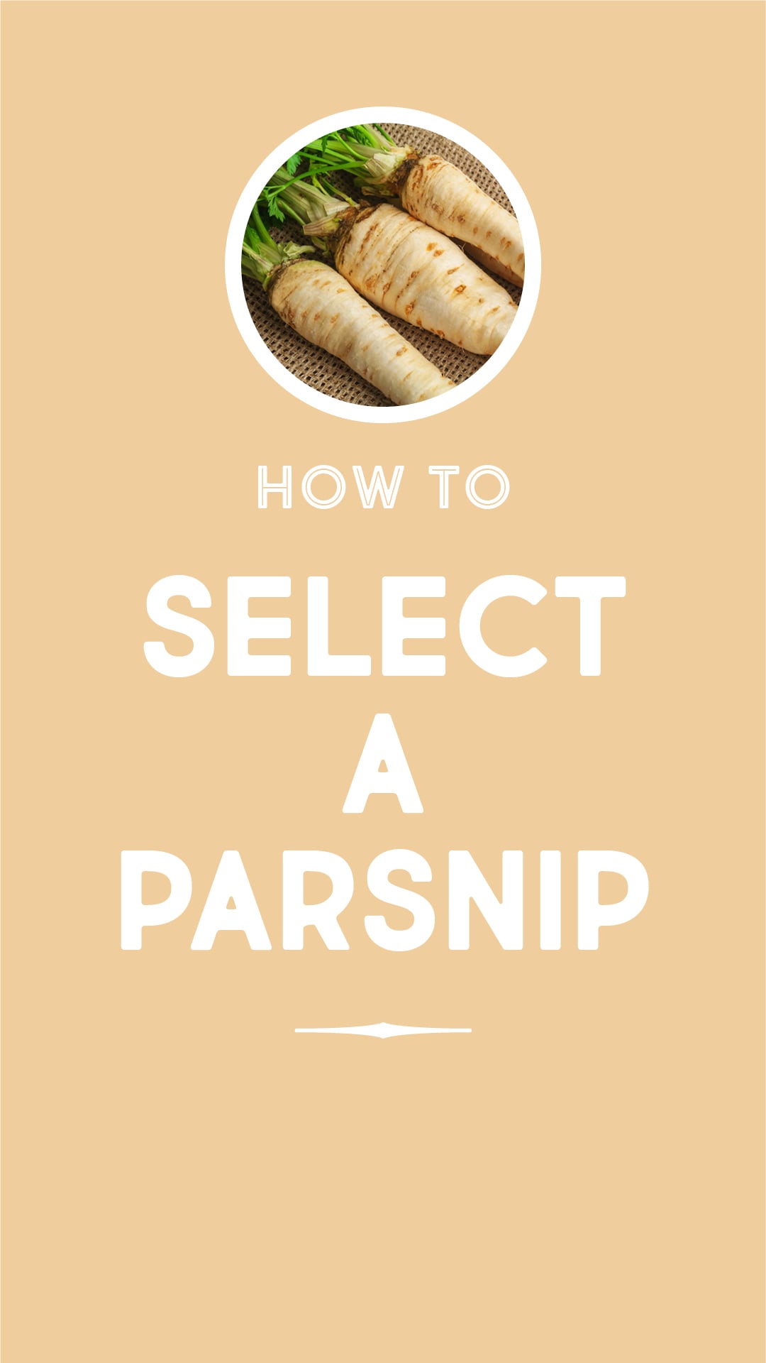 Meal prep hacks: how to select a parsnip Meal prep hacks: how to select a parsnip