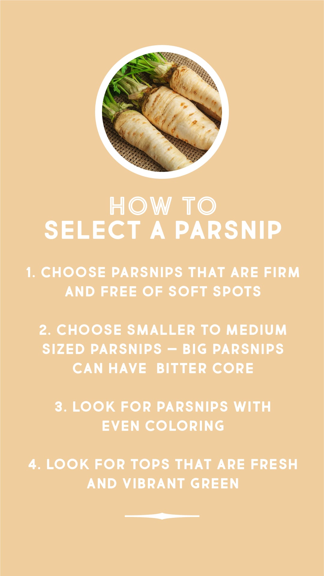 How to select a parsnip How to select a parsnip