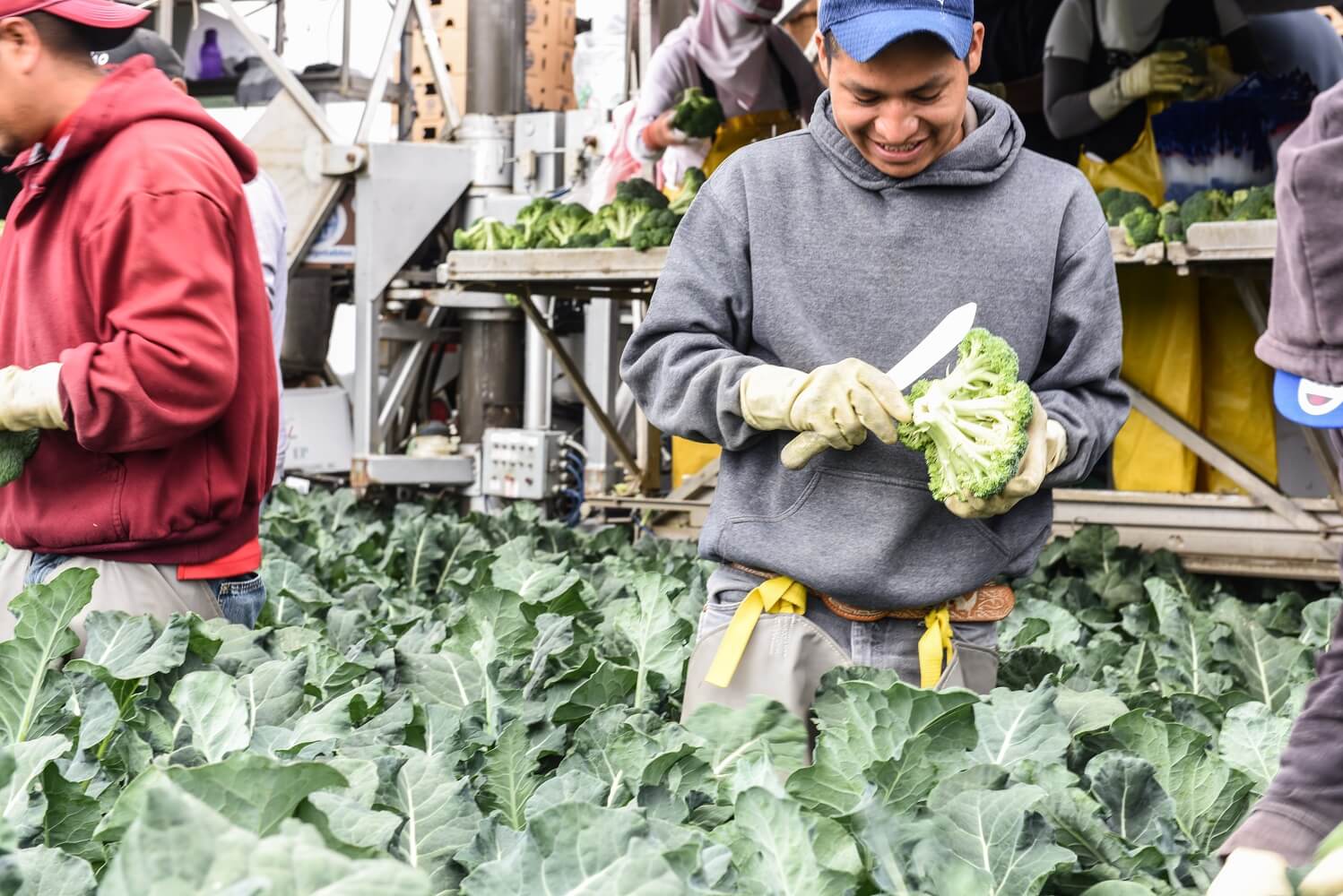 Decades of farming experience