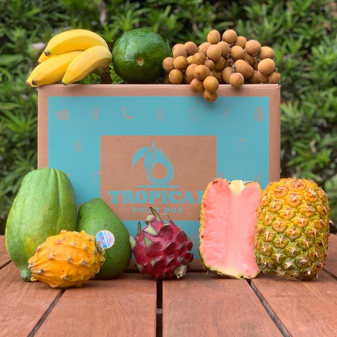 Tropical Fruit Box Tropical Fruit Box