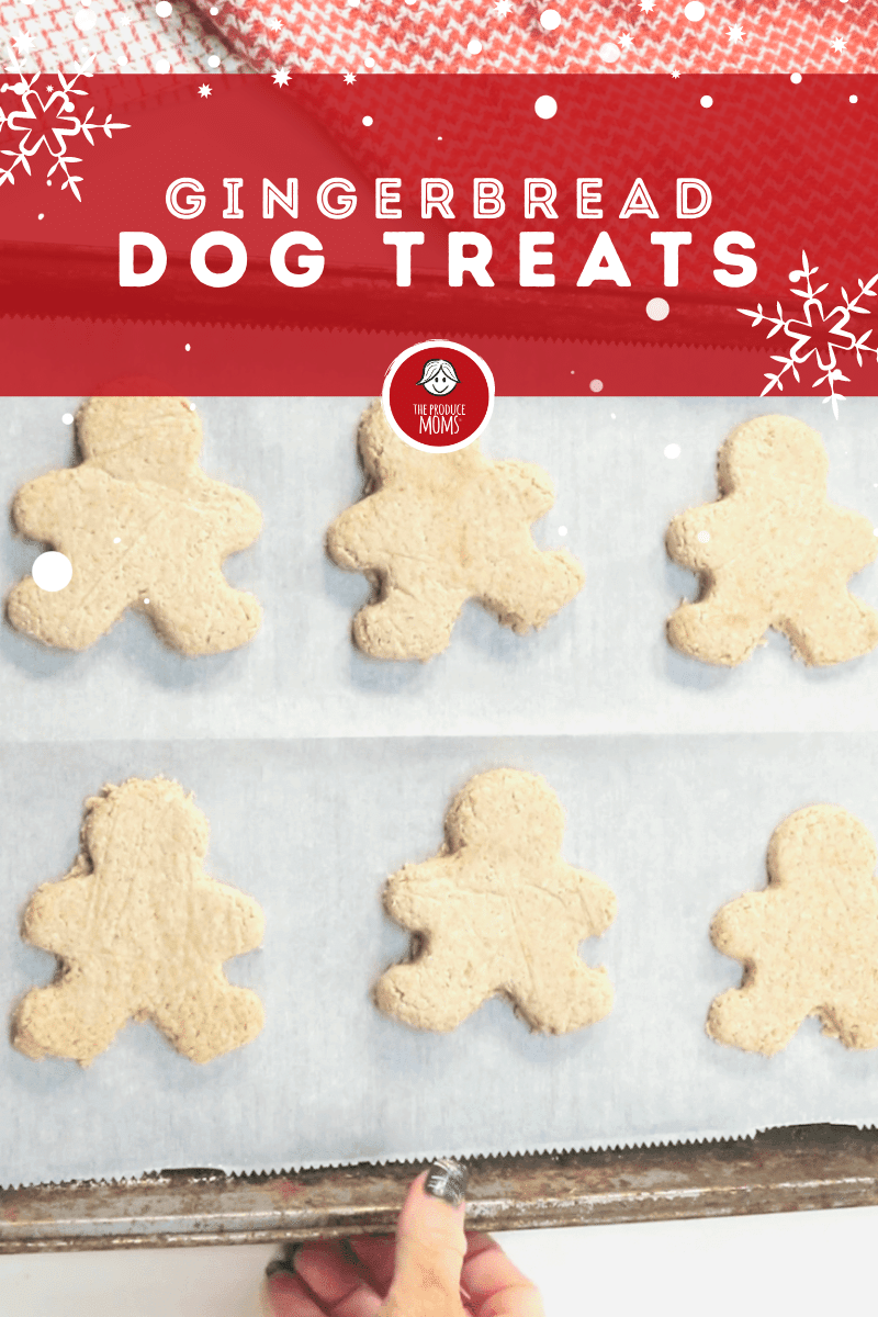 Gingerbread Dog Treats Gingerbread Dog Treats
