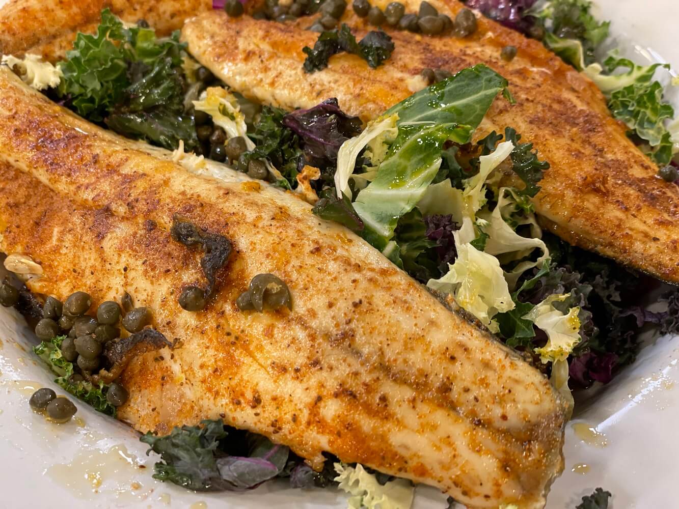 Sea Bass on Salad Savoyยฎ Sea Bass on Salad Savoyยฎ