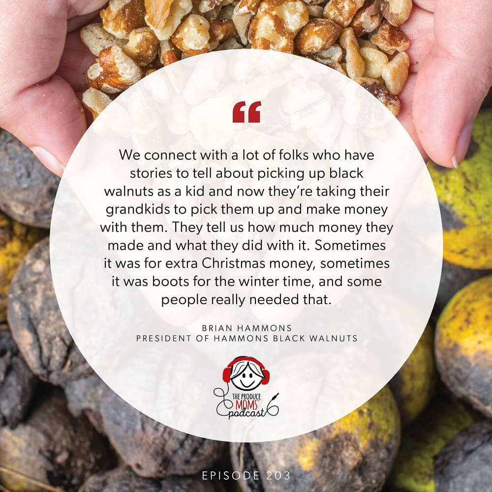 Episode 204 Brian Hammons Quote Episode 204 Brian Hammons Quote