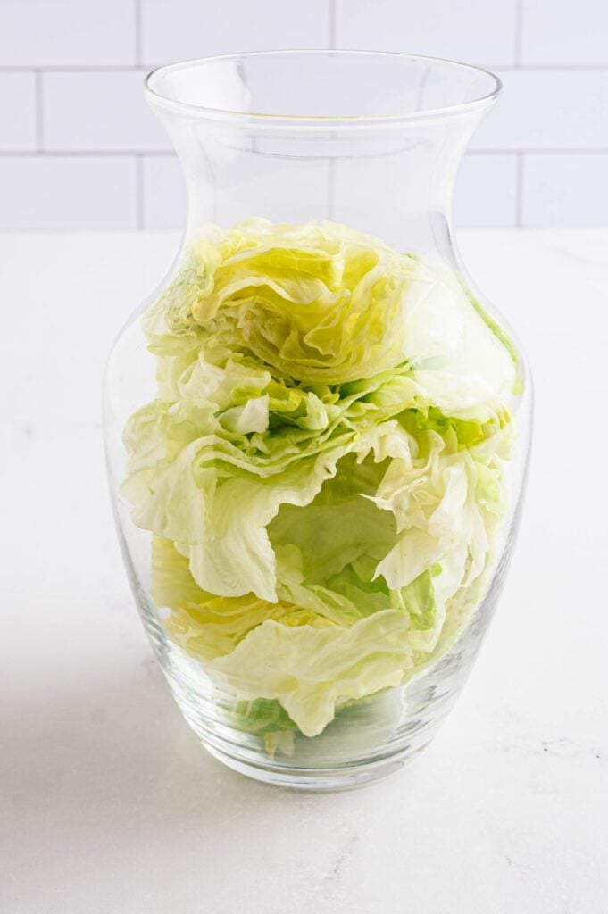lettuce in a vase