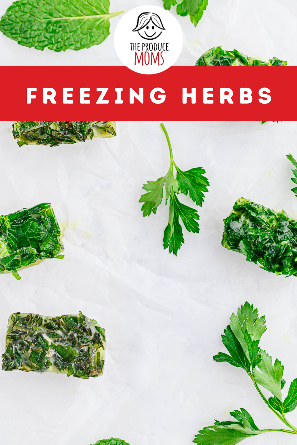 Ice cube herbs and herbs
