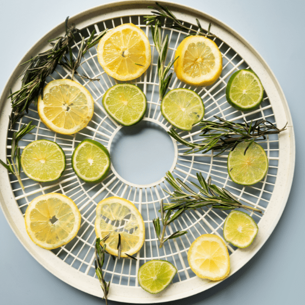 Lemon and lime with herbs on drying pan