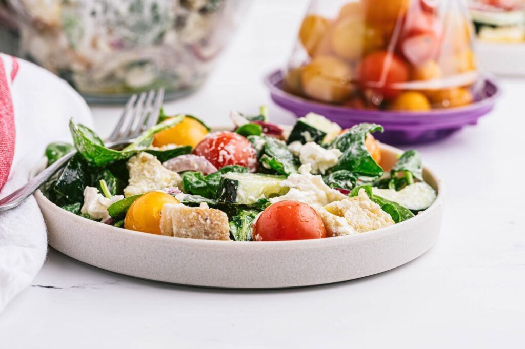 tomato panzanella on a plate