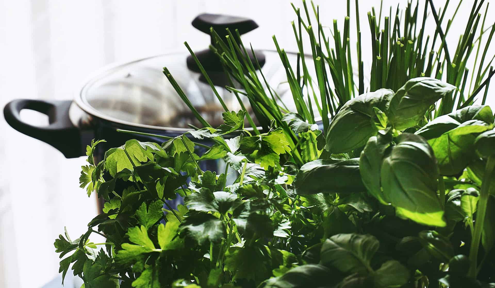 herbs in front of a pot