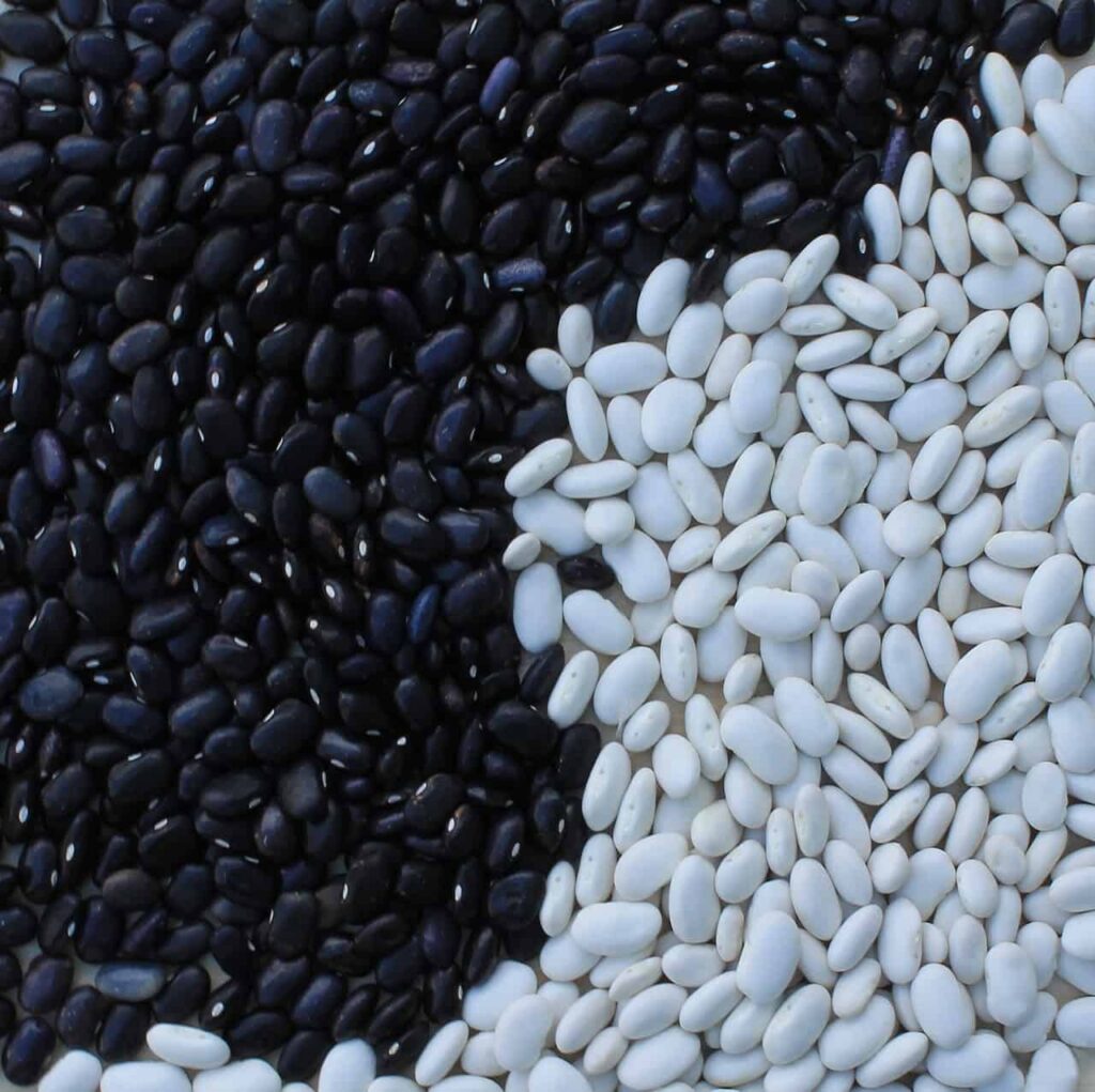 Black beans is delicious vegetable for September