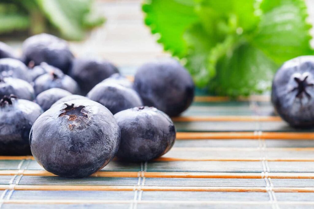 Blueberries is a delicious fruit for September
