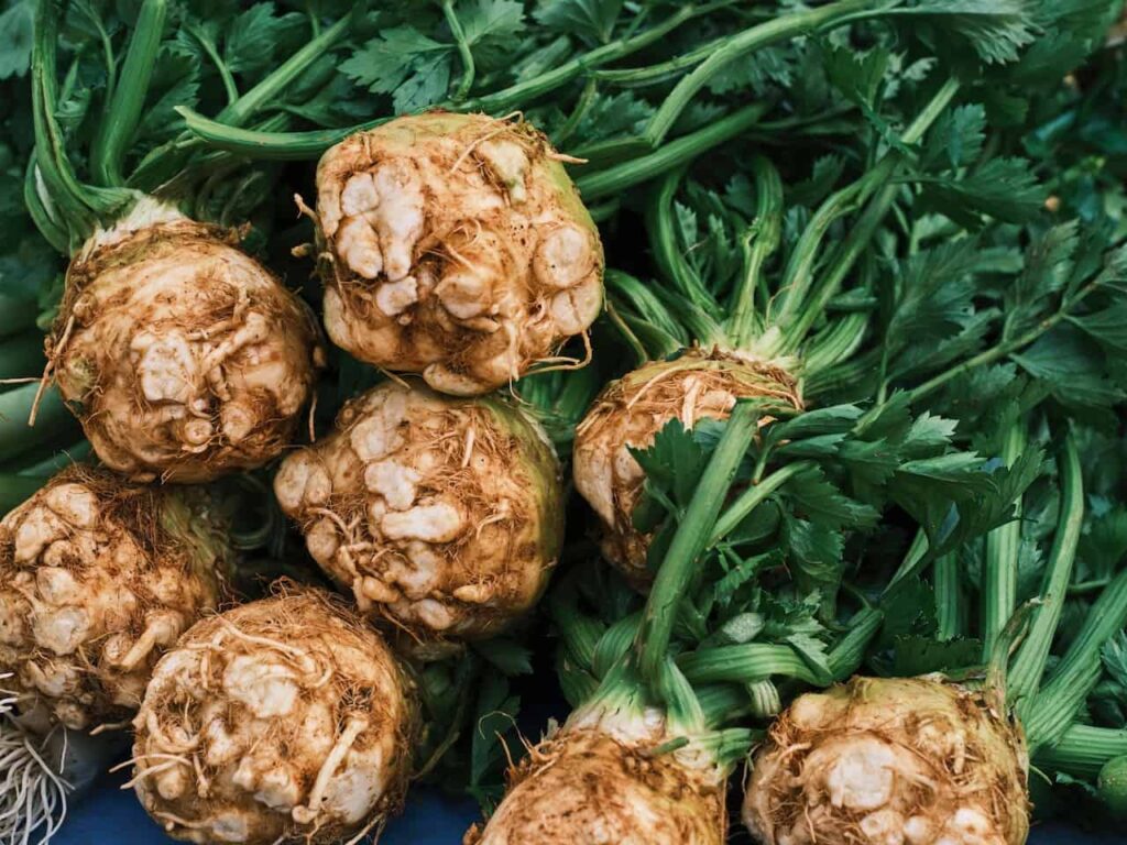 Celery is a delicious vegetable for September