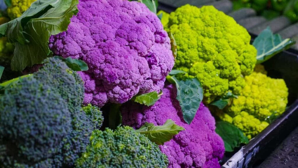 colored cauliflower is a delicious vegetable in November