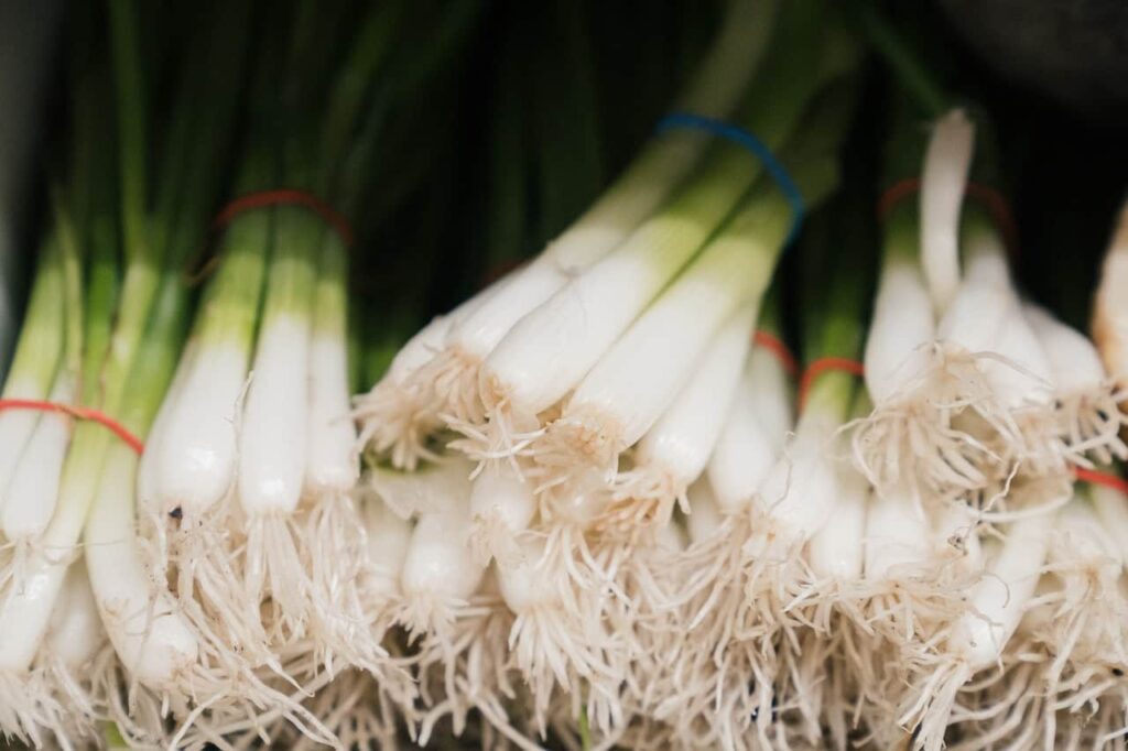 green onions are a delicious vegetable for September