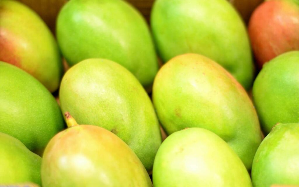 mangos are a delicious fruit for november