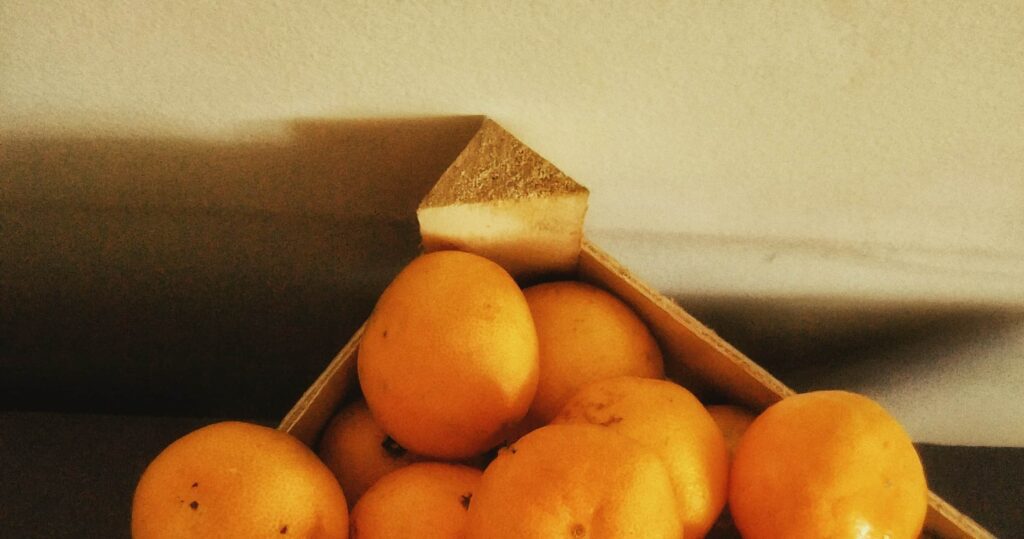 oranges are delicious fruit for november