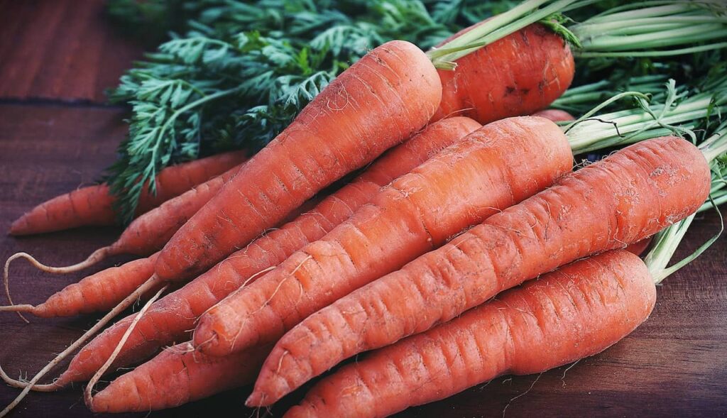 Carrots are delicious in August