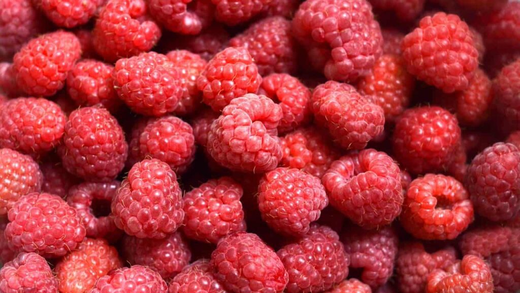 rasberrries are delicious in august