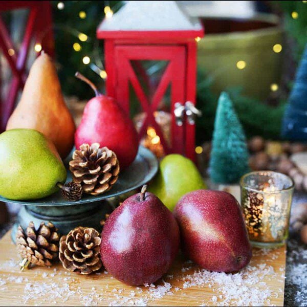 Holiday Gift Guide