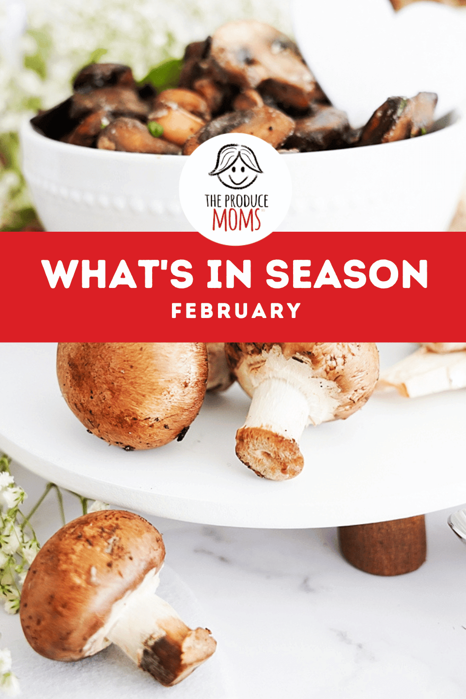 Pinterest Pin February What's In Season