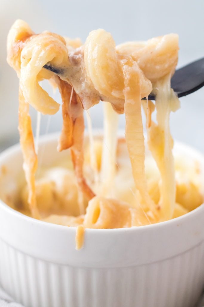 fork holding bite of french onion mac and cheese