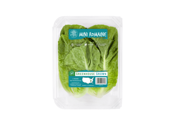 Tanimura & Antle Greenhouse Grown Mini Romaine in clamshell