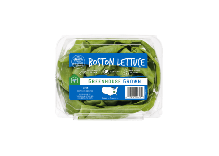 Tanimura & Antle Greenhouse Grown Boston Lettuce in Clamshell
