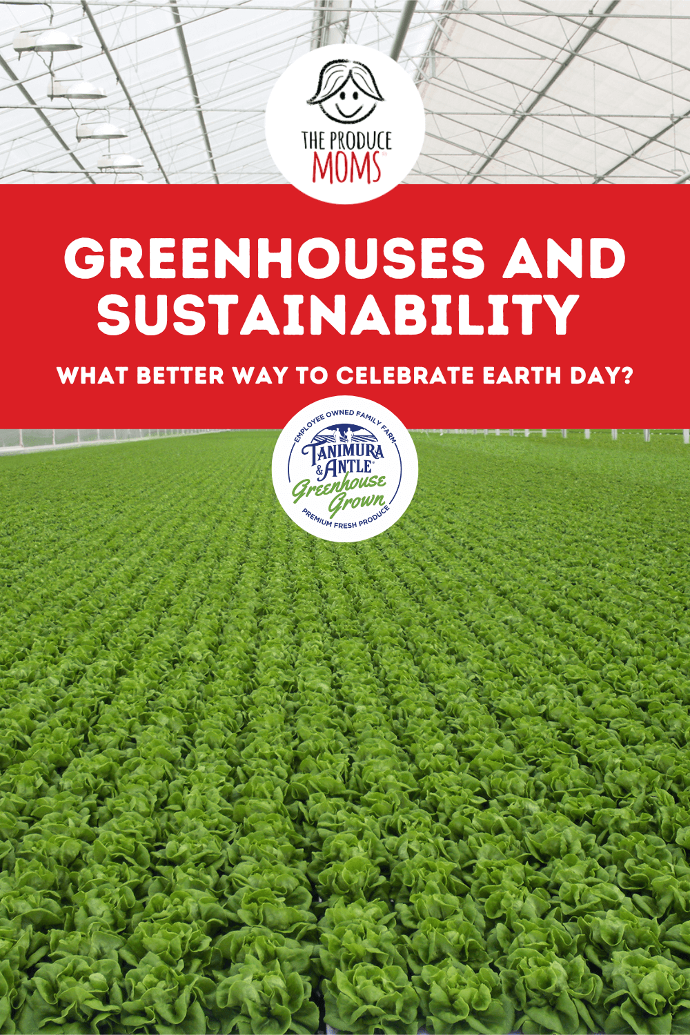 Pinterest Pin: Greenhouses & Sustainability