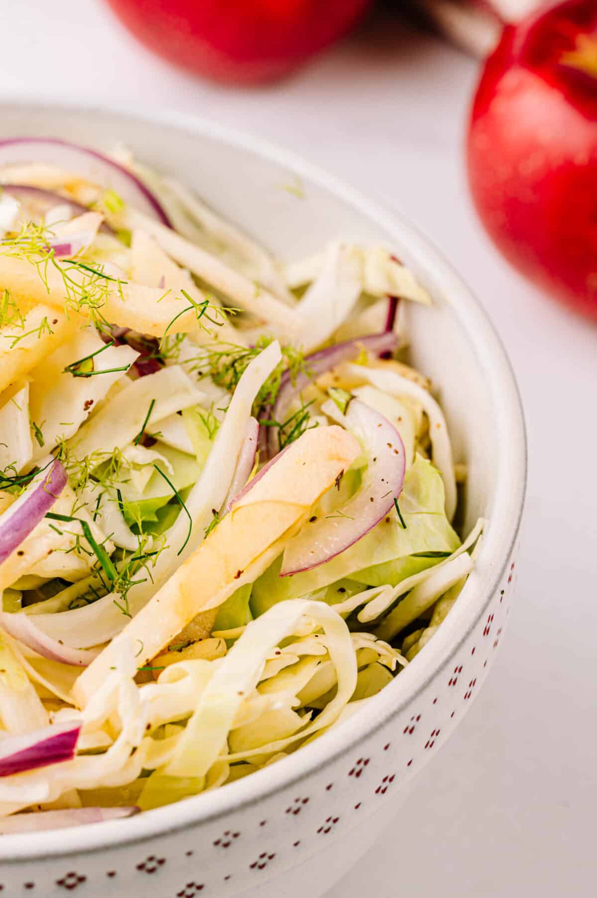 vertical shot of side of bowl with fennel apple salad