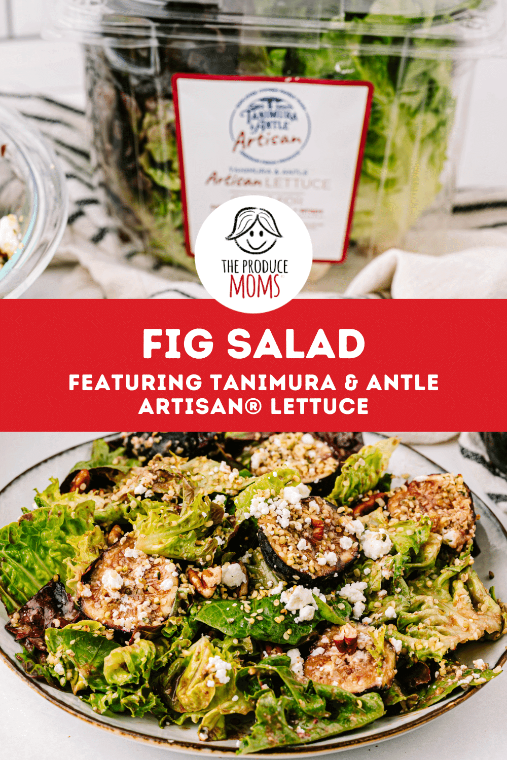 Pinterest Pin Fig Salad