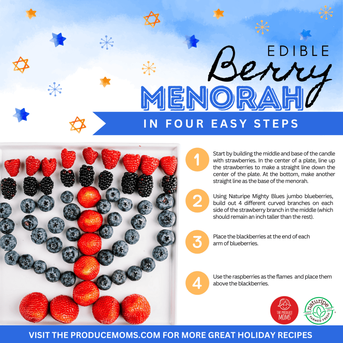 Edible Menorah Infographic