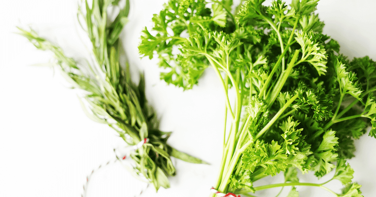 close up of herbs