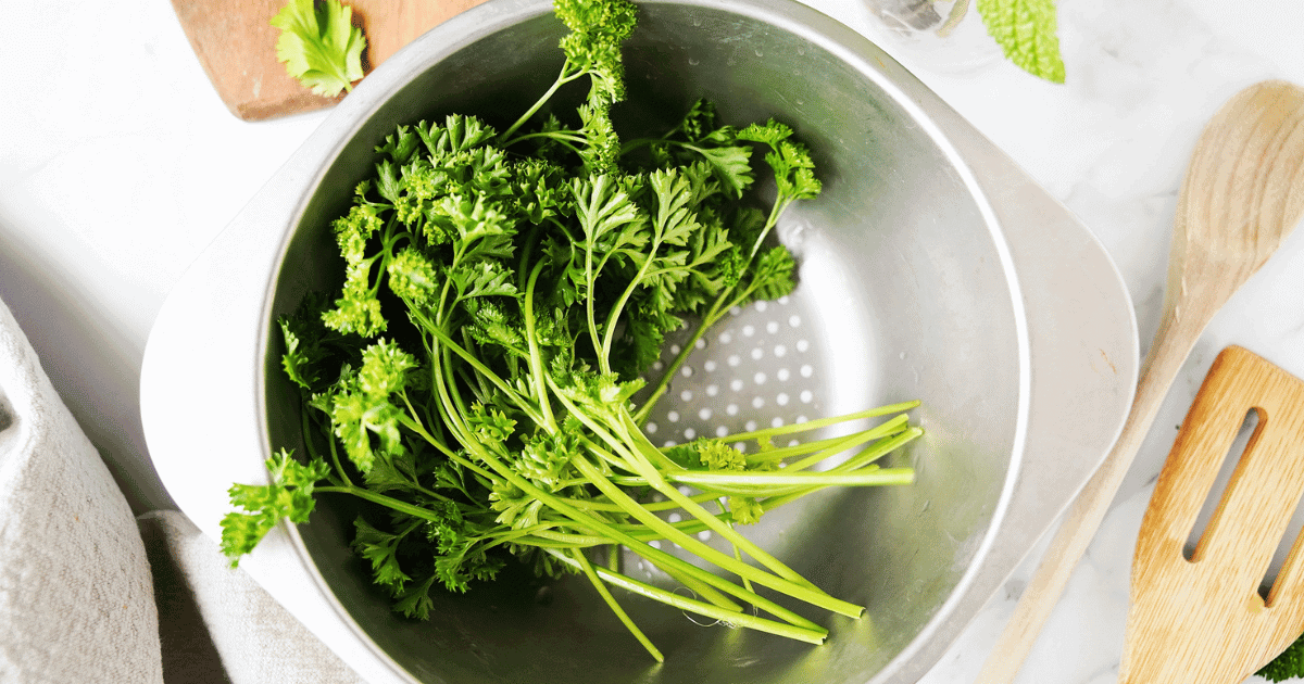 Herbs in colander