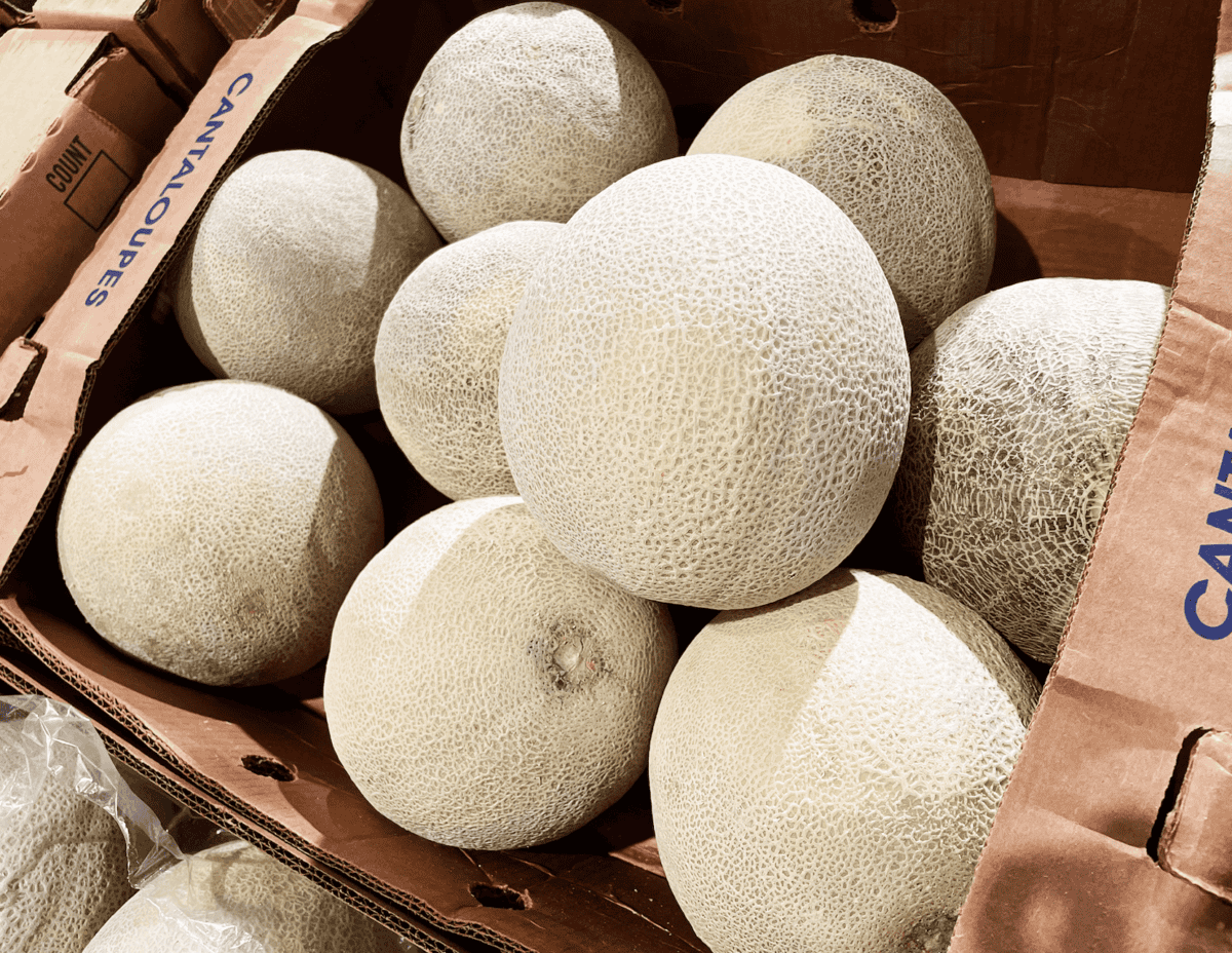 Box of Cantaloupes