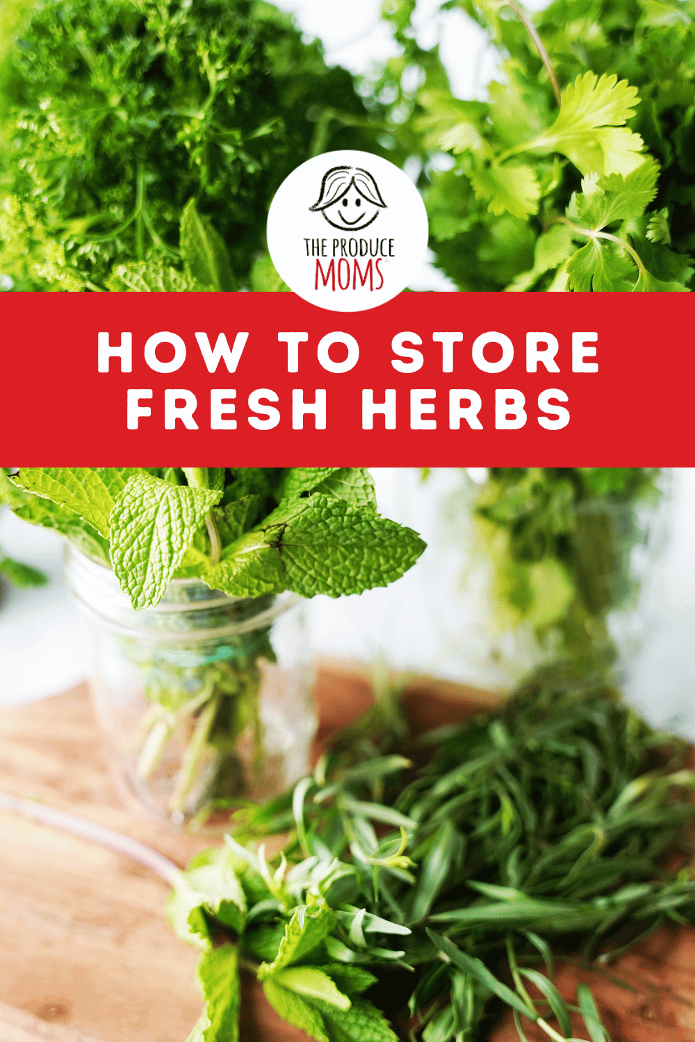Pinterest Pin: How to Store Fresh Herbs
