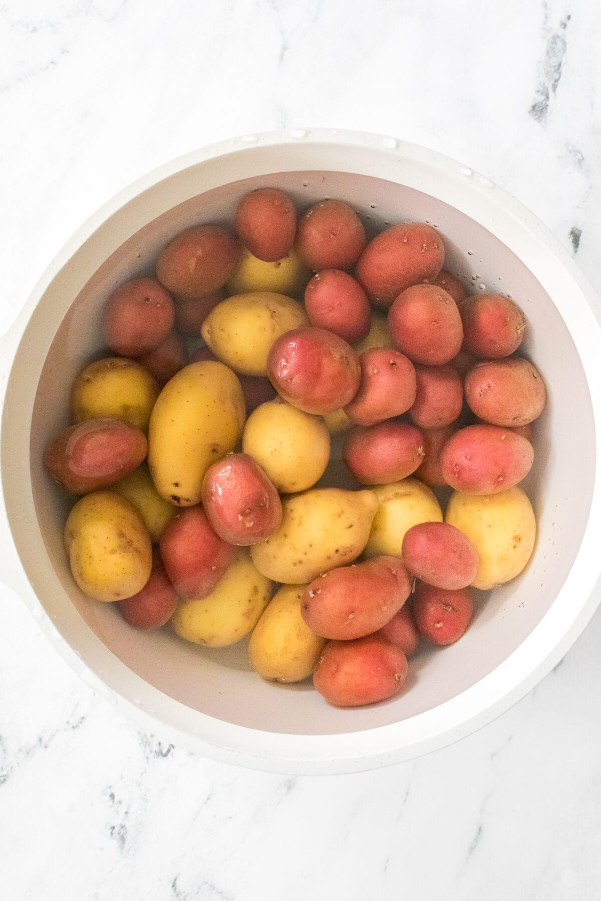 red and gold petite potatoes in large pot filled with water