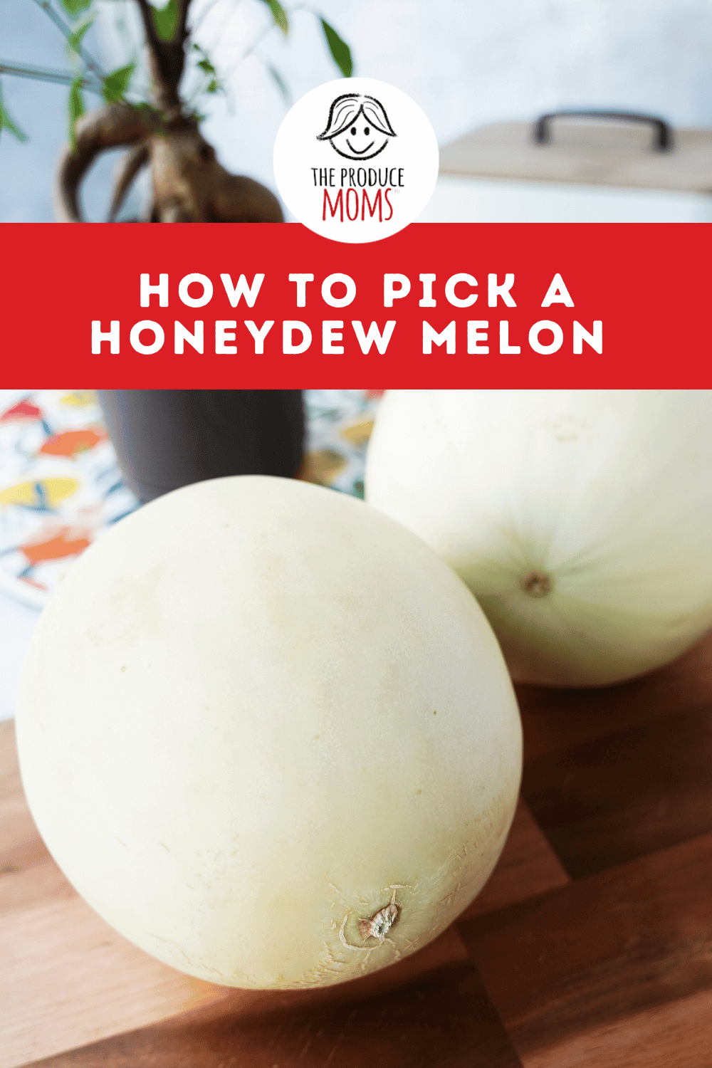 Pinterest Pin How to Pick a Honeydew Melon