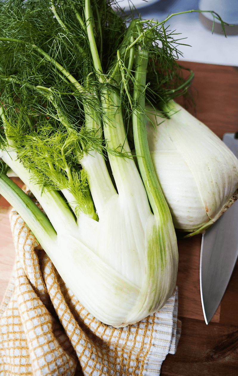 Vertical image of fennel