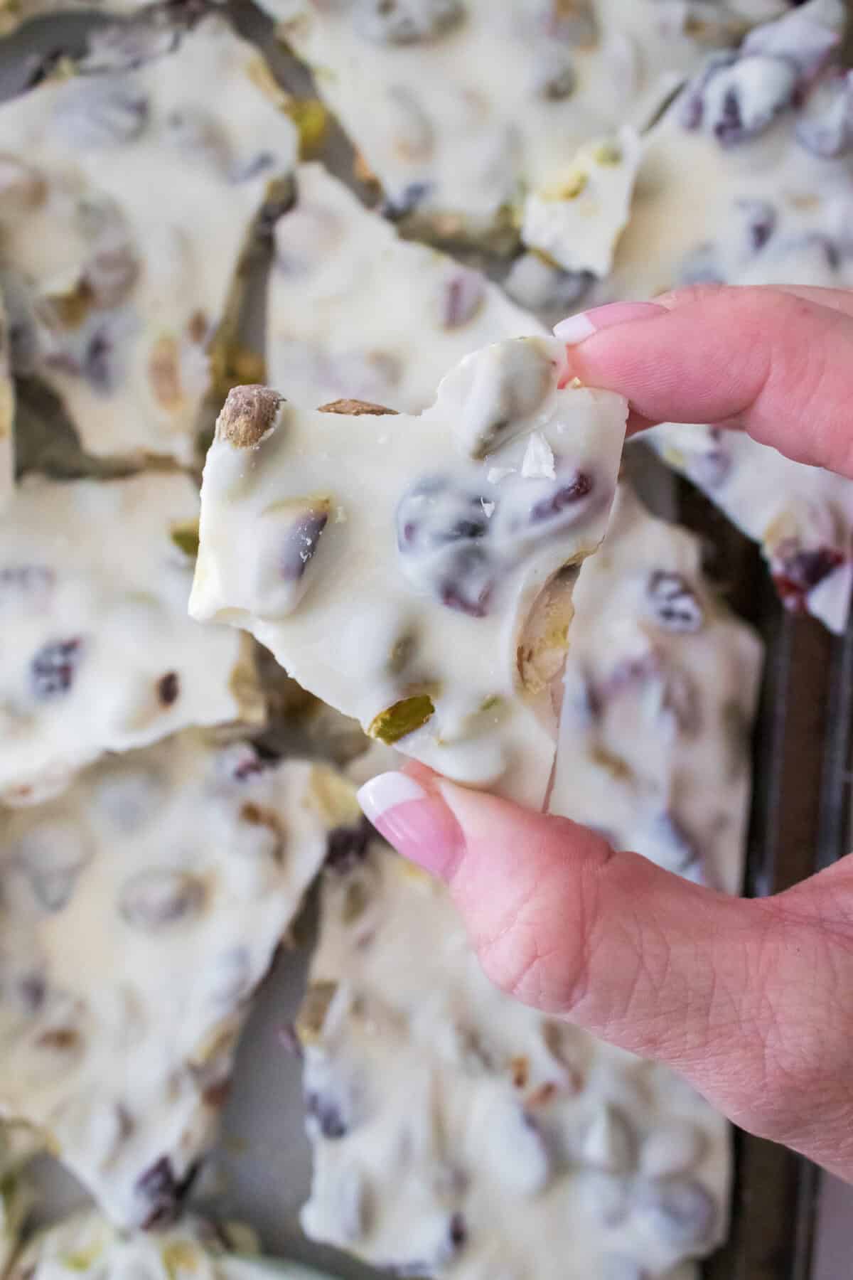 close up of holiday bark