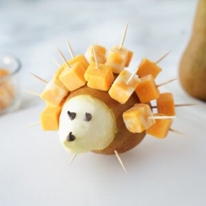 Pear Porcupine Hero