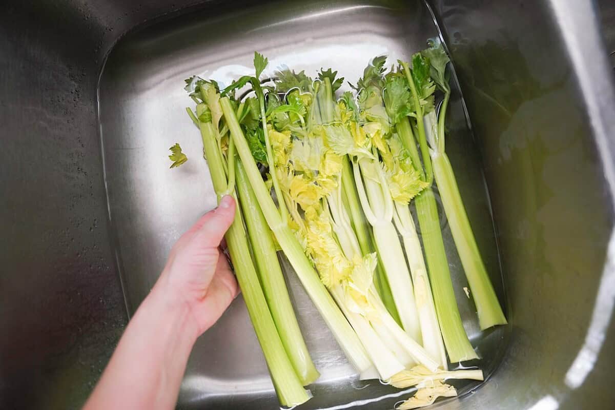 Cleaning Celery stalks in the sink