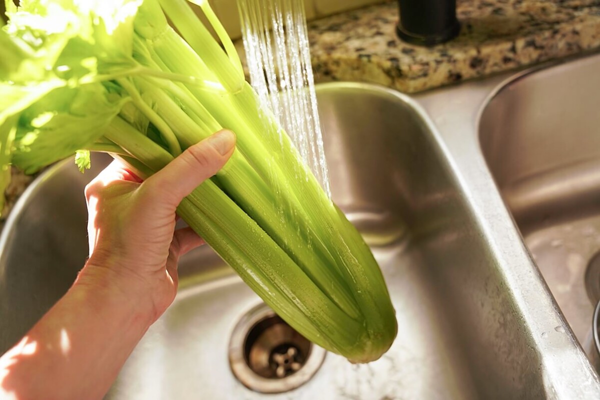 Washing Celery under running water