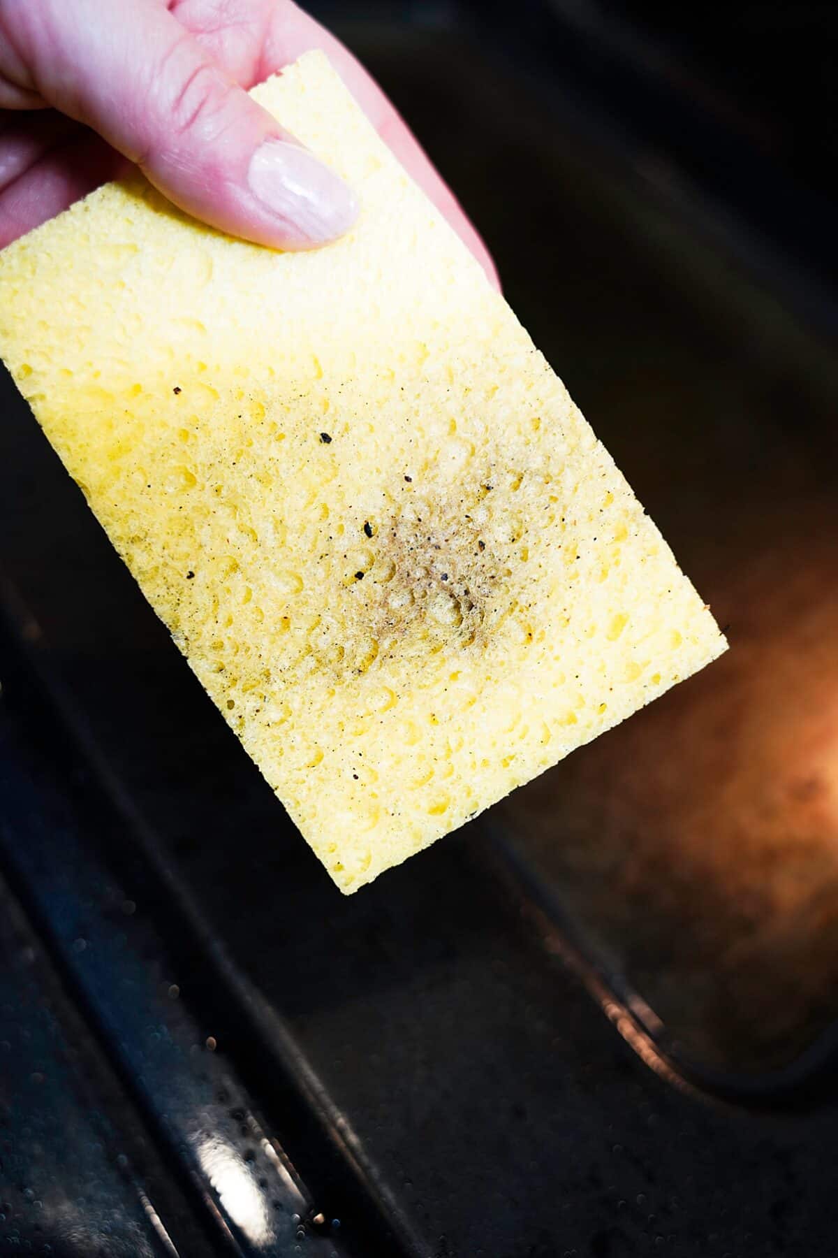sponge after wiping down oven