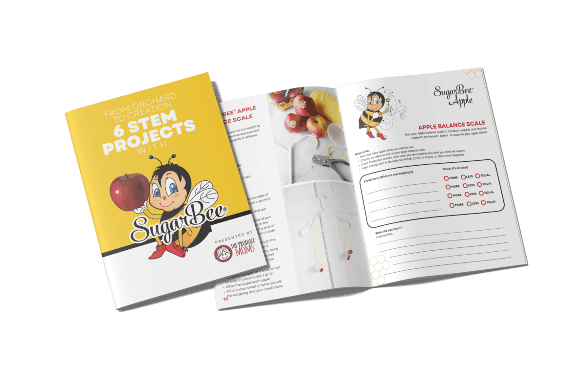 SugarBee STEM ebook Mockup